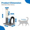 18 Inch Cat Scratching Post Pad with Cat Self Groomer,Cat Scratcher with Cat Brush,Kitten Scratch Post with Activity Dangling Ball,Indoor Cat Scratch