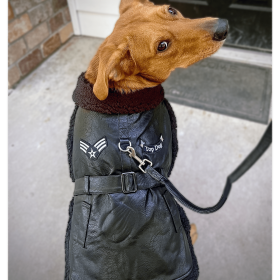 Black Top Flight Coat (size: large)